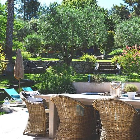 Le Tignet Chambres D'Hotes Villa Cardabella מראה חיצוני תמונה