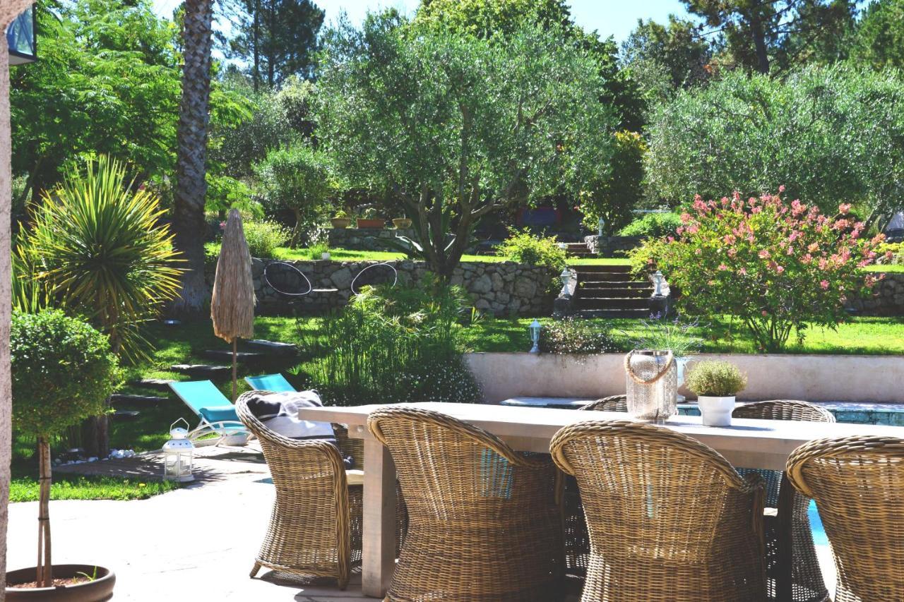 Le Tignet Chambres D'Hotes Villa Cardabella מראה חיצוני תמונה